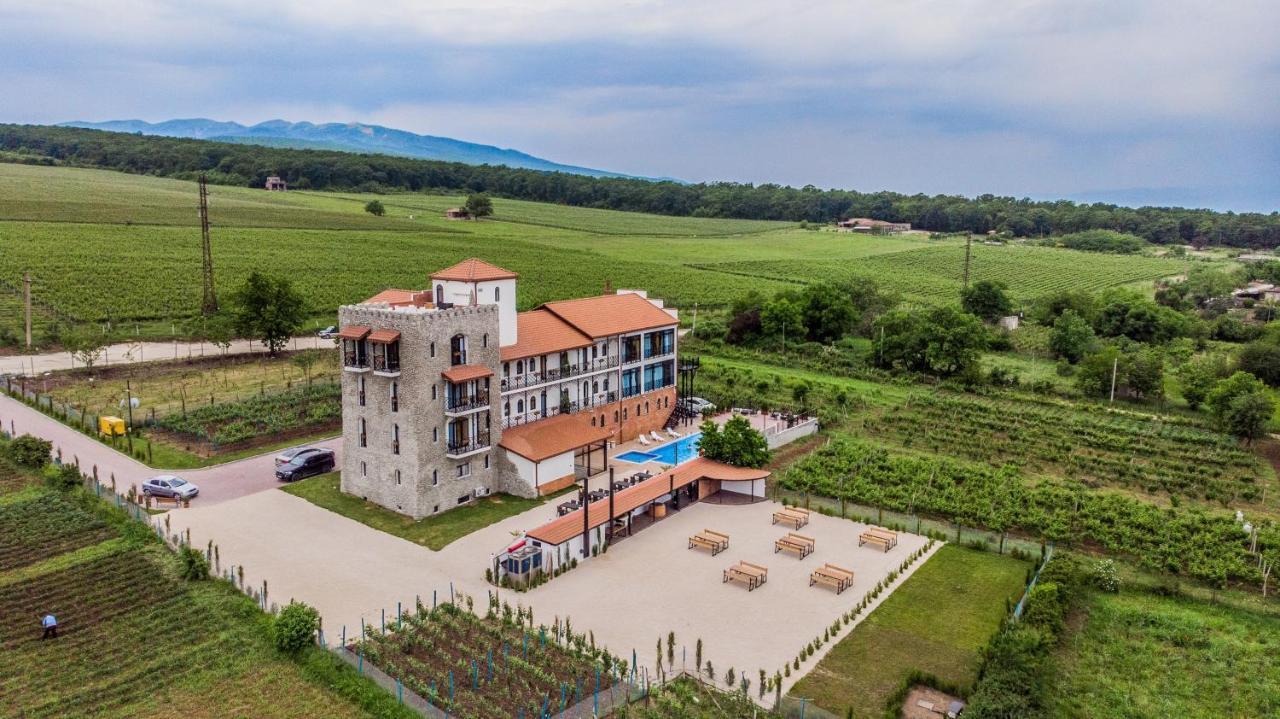 Tsinandali Resort & Spa المظهر الخارجي الصورة