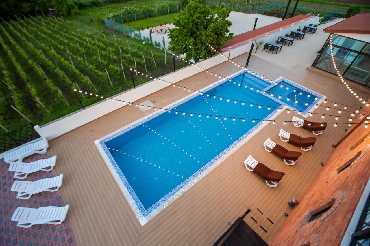 Tsinandali Resort & Spa المظهر الخارجي الصورة