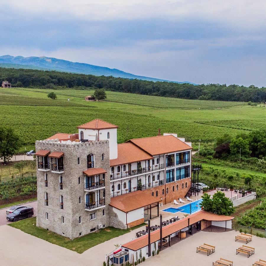 Tsinandali Resort & Spa المظهر الخارجي الصورة